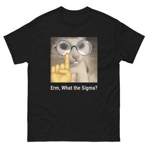 Erm, What the Sigma, Meme T-Shirt, Funny T-Shirts, Meme Shirts, Funny Shirt